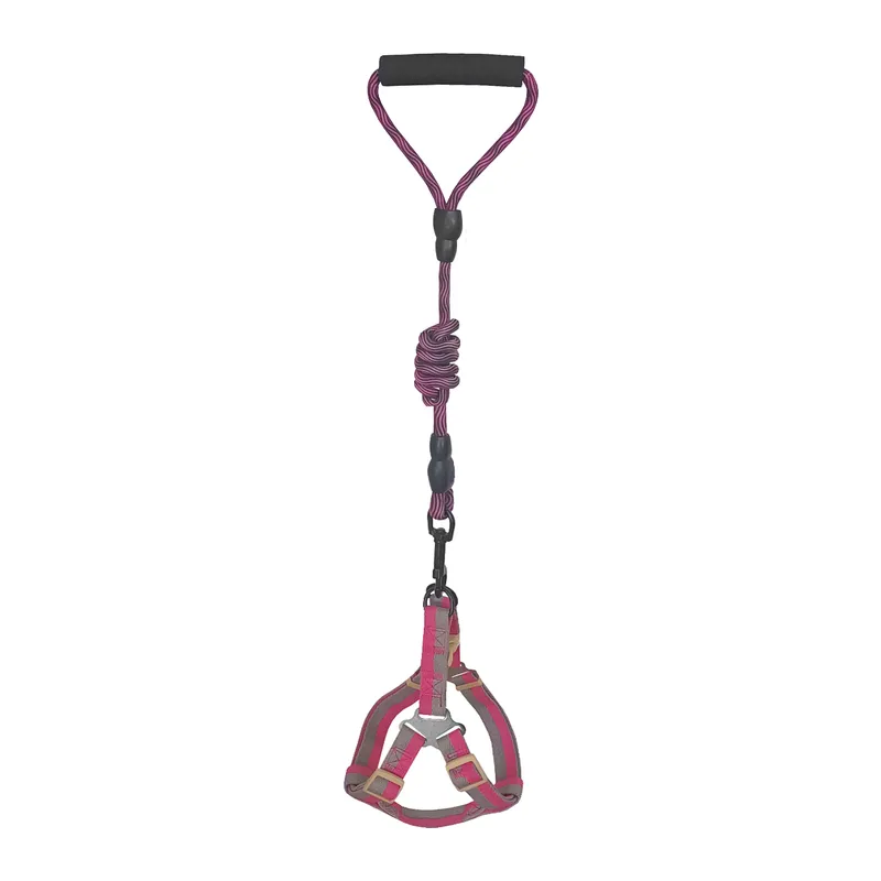 Köpek Göğüs Tasma Seti Daa Desenli 2 cm*40-58 cm Mor-Pembe