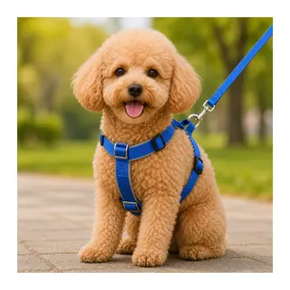 Gezdirme Kayışlı Dokuma Köpek Göğüs Tasma Seti 32*47-110 cm Mi