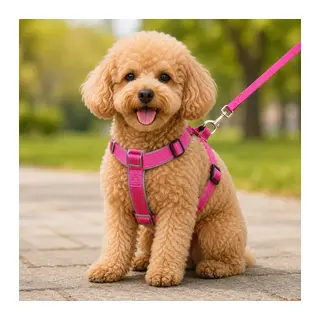 Gezdirme Kayışlı Dokuma Köpek Göğüs Tasma Seti 32*47-110 cm Pembe