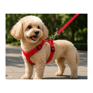 Gezdirme Kayışlı Dokuma Köpek Göğüs Tasma Seti 32*47-110 cm Kırmızı
