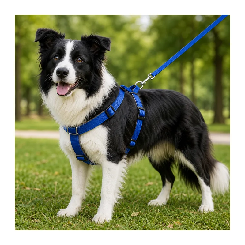 Gezdirme Kayışlı Dokuma Köpek Göğüs Tasma Seti 40*60-110 cm Mi