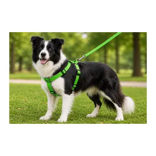 Gezdirme Kayışlı Dokuma Köpek Göğüs Tasma Seti 40*60-110 cm Neon Yeşil