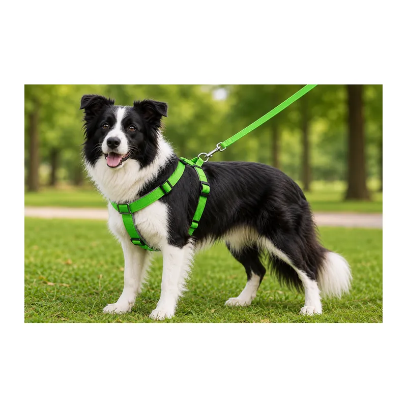 Gezdirme Kayışlı Dokuma Köpek Göğüs Tasma Seti 40*60-110 cm Neon Yeşil