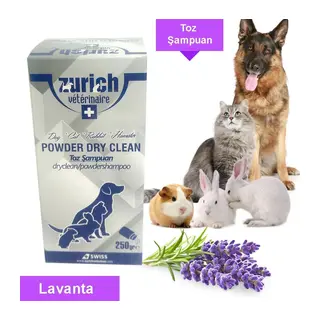 Powder Clean Toz Şampuan 250 Gr Lanta Kokulu
