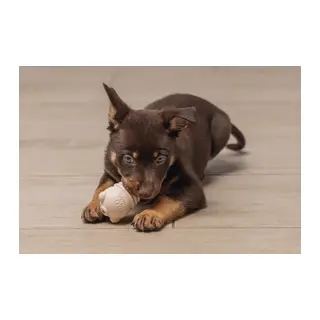 Yru Köpek Sumo Mını Dental Oyuncak Xs 3-6 kg
