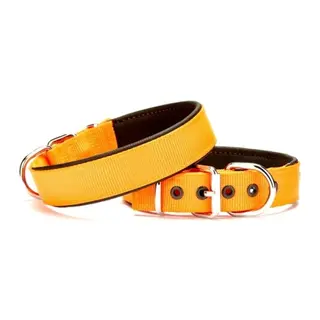 Köpek Tasması Softlu 3 cm x 65 cm Tcu