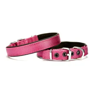 Softlu Köpek Boyun Tasması 2 cm x 40 cm Mor