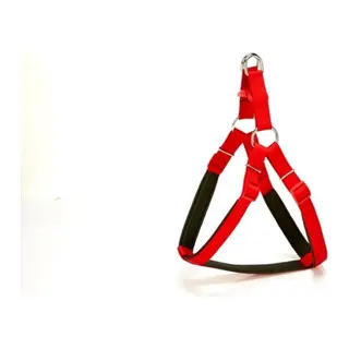 Köpek Bel Tasması 70cm Large Kırmızı