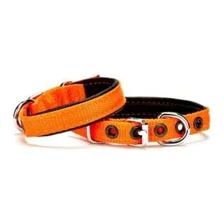 Softlu Köpek Boyun Tasması 1,5 cm x 35 cm Tcu