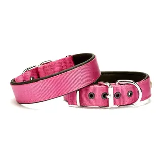 Köpek Tasması Softlu 3 cm x 65 cm Mor