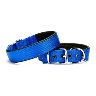 Softlu Köpek Boyun Tasması 2 cm x 40 cm Mi