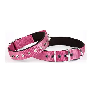 Çivi Desenli Köpek Tasması 2,5*60 cm Mor