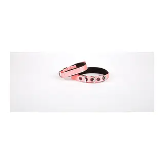 Softlu Köpek Boyun Tasması 1,5 cm x 30 cm Pembe