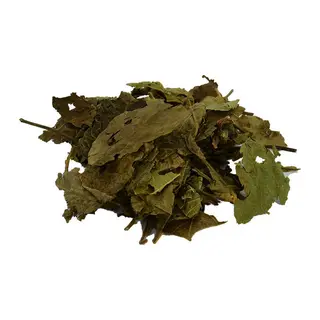 Ceviz Yaprağı Doğal 100 Gr Paket