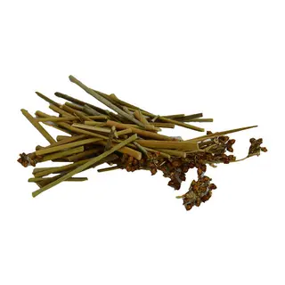Kayışkıran Otu Doğal 100 Gr Paket