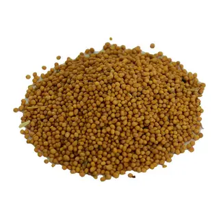 Hardal u Tane Doğal Sarı 100 Gr Paket