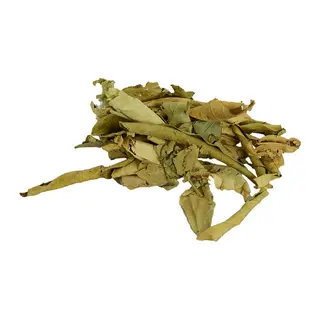 Tç Yaprağı Doğal 100 Gr Paket