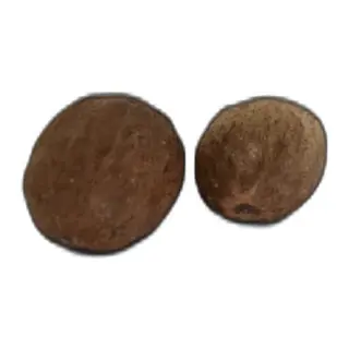 Hint Cevizi Muskat Küçük Hindistan Cevizi Doğal 10 gr Paket