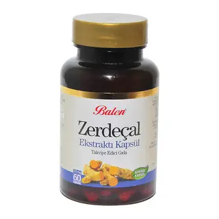 Zerdeçal Ekstraktı 60