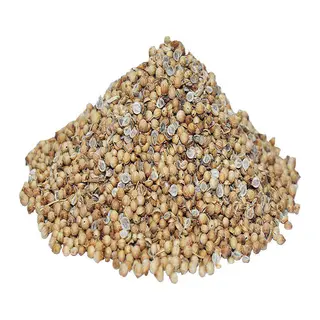 Kişniş Doğal Tane 1000 Gr Paket