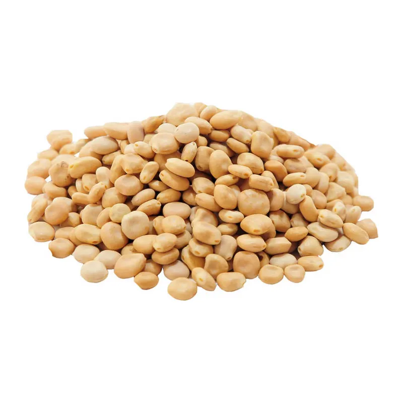 Acı Bakla u Yahudi Baklası Doğal 50 Gr Paket