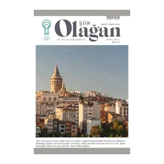 Olağan Şiir (37. Sayı)