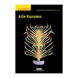 Cogito Aile Kurumu
