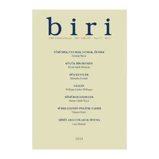 Biri Dergisi 2024, Sayı: 17