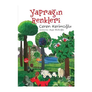 Yaprağın Renkleri