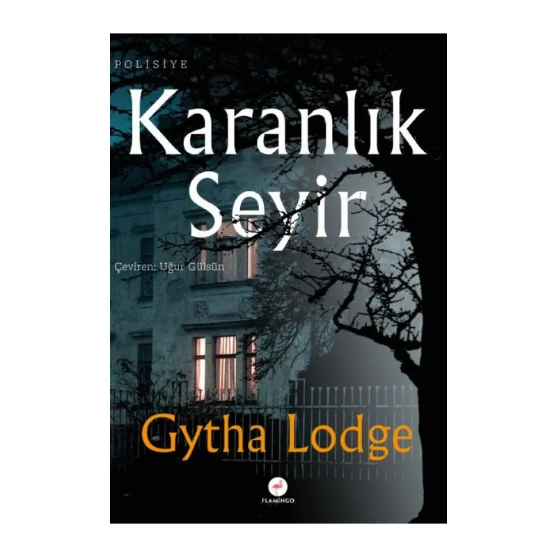 Karanlık Seyir