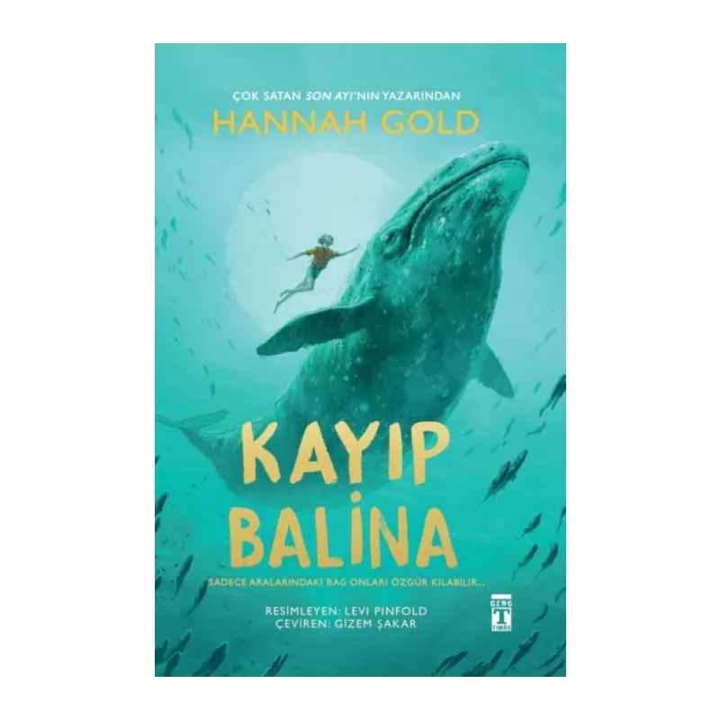 Kayıp Balina
