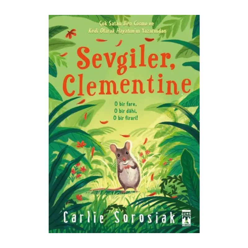 Sevgiler Clementine