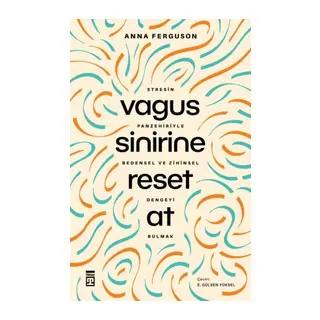 Vagus Sinirine Reset At