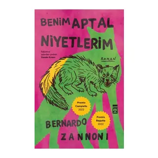 Benim Aptal Niyetlerim