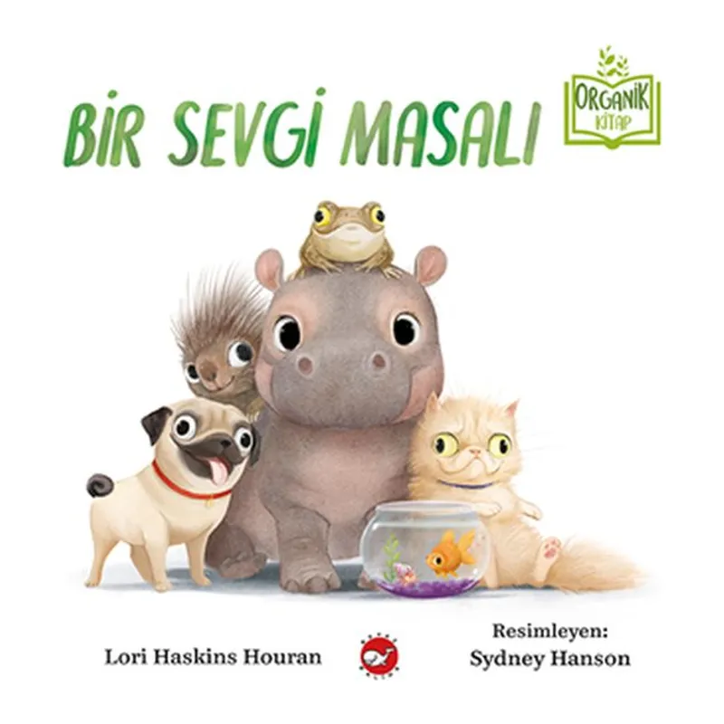 Bir Sevgi Masalı - Organik lar