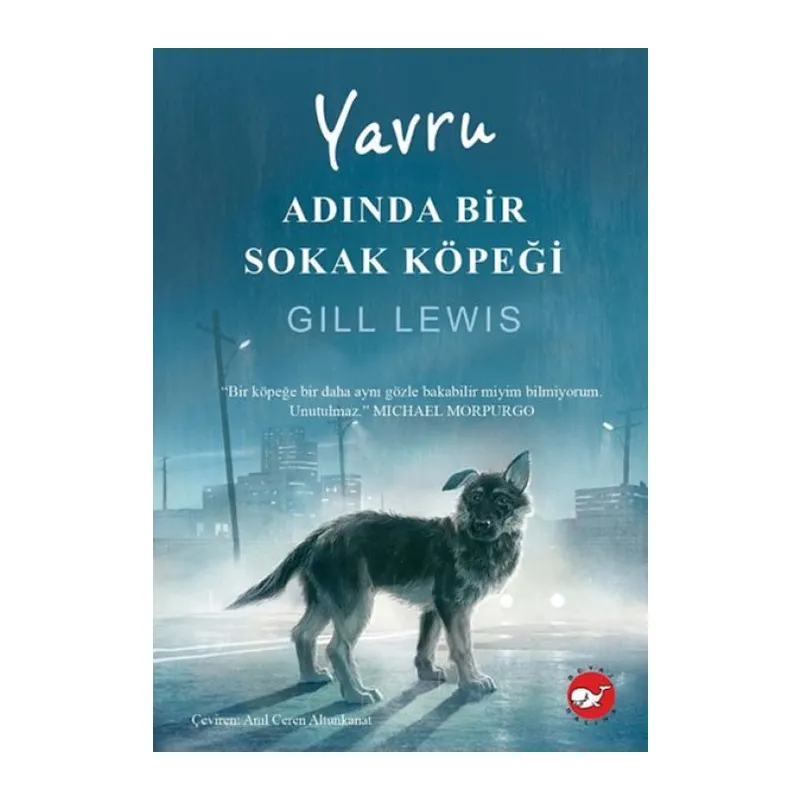 Yru Adında Bir Sokak Köpeği