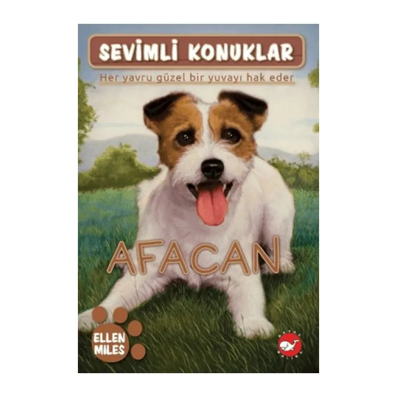 Sevimli Konuklar 4 -Afacan