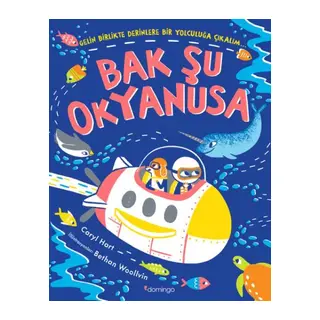 Bak Şu Okyanusa