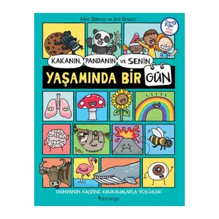 Kakanın, Pandanın ve Senin Yaşamında Bir Gün