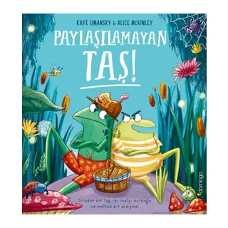 Paylaşılamayan Taş