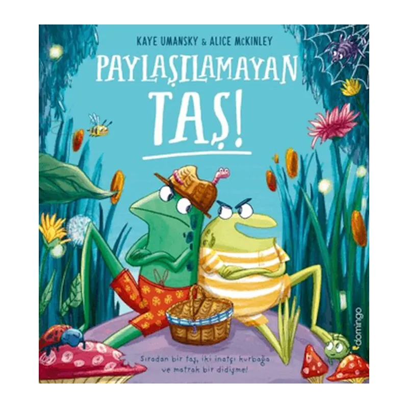 Paylaşılamayan Taş