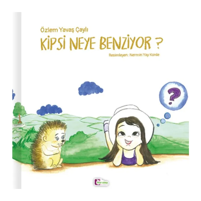 Kipsi Neye Benziyor?