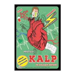 Mutlu Kalp Ve Dolaşım Sistemi