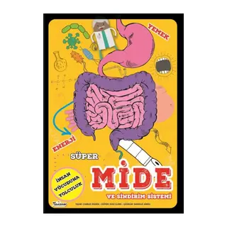 Süper Mide Ve Sindirim Sistemi