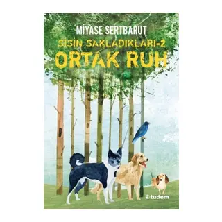 Sisin Sakladıkları 2 - Ortak Ruh