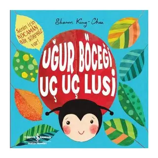Uğur Böceği Uç Uç Lusi