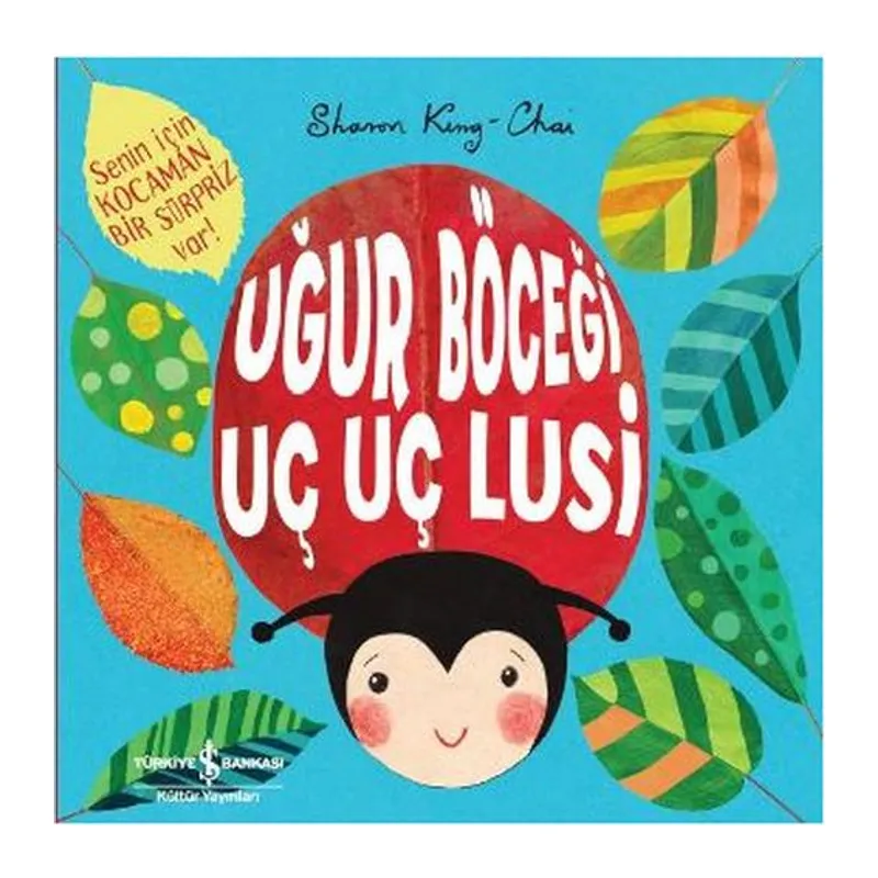 Uğur Böceği Uç Uç Lusi
