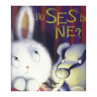 Bu Ses de Ne?