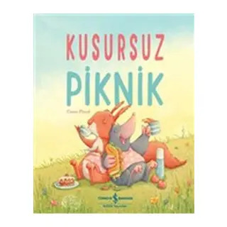 Kusursuz Piknik