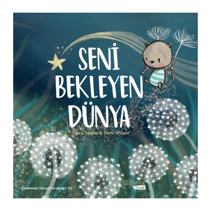 Seni Bekleyen Dünya